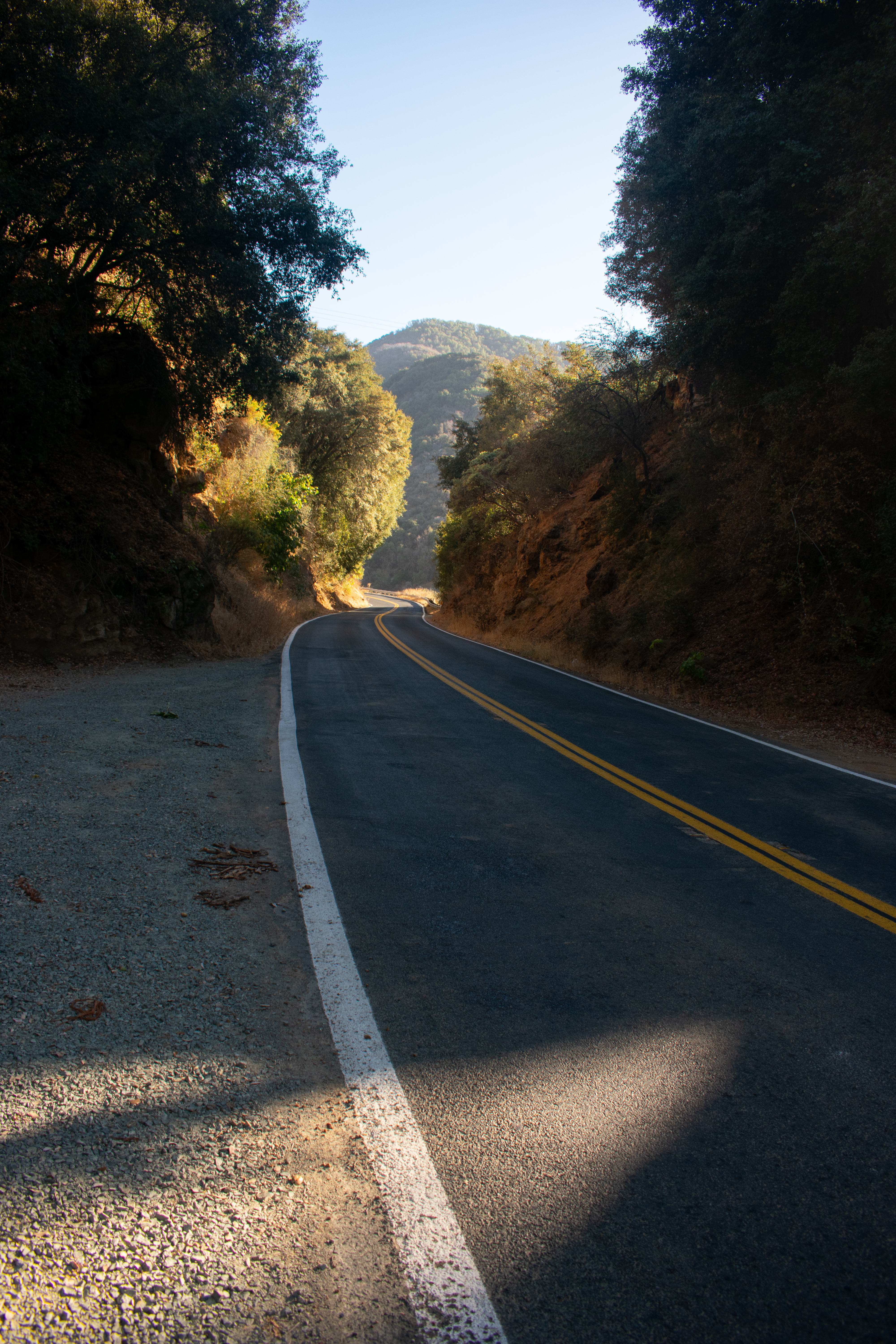 Sequoia Fall Break